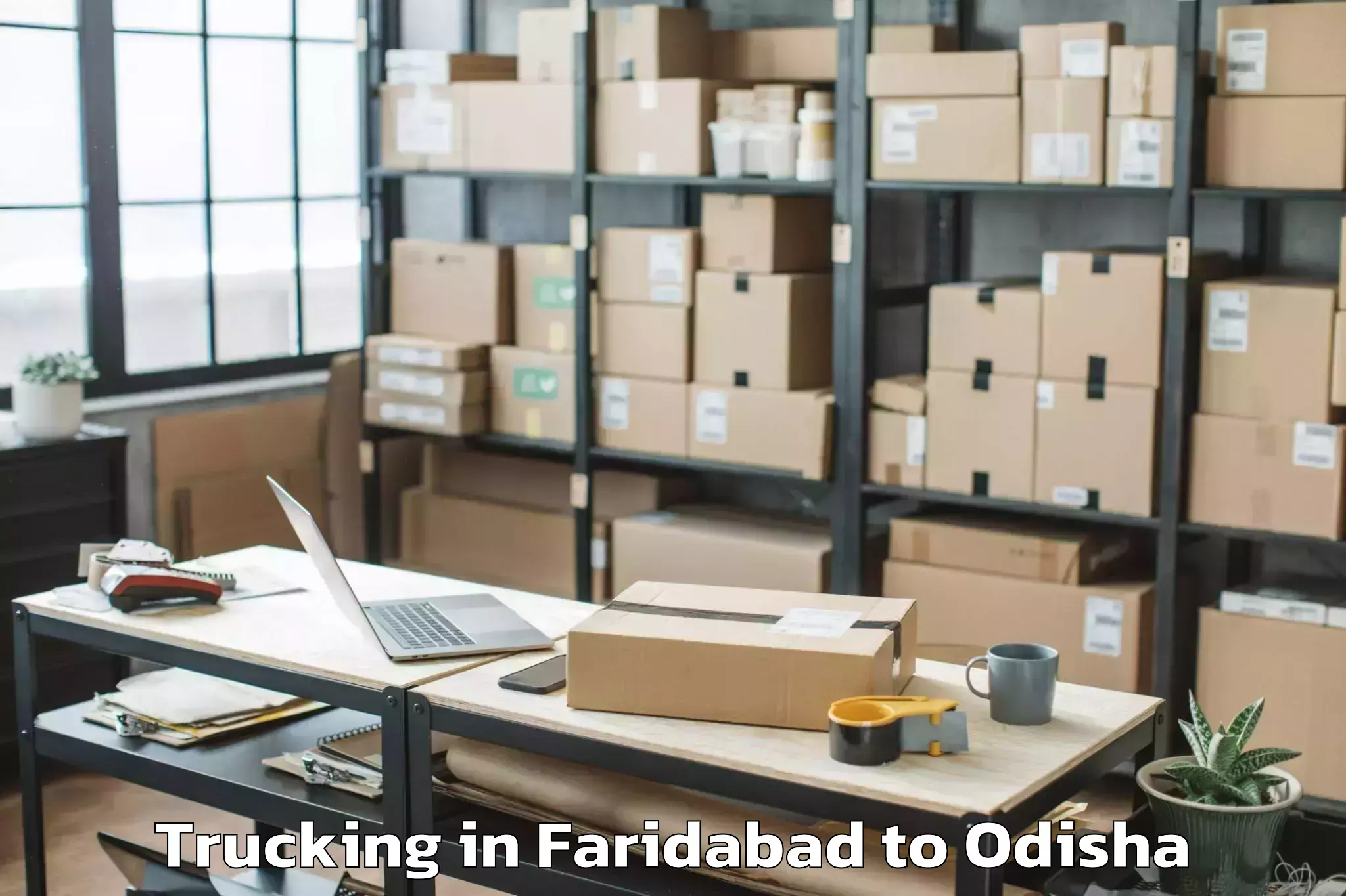 Book Faridabad to Khallikot Trucking Online